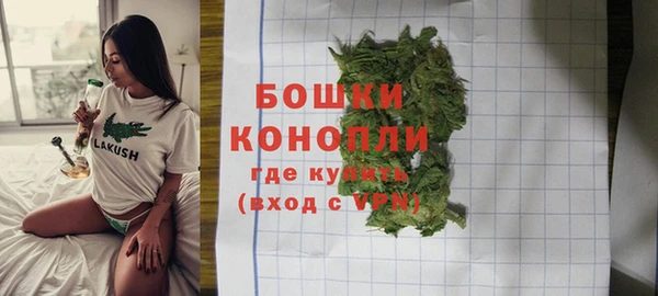 ГАЛЛЮЦИНОГЕННЫЕ ГРИБЫ Зерноград