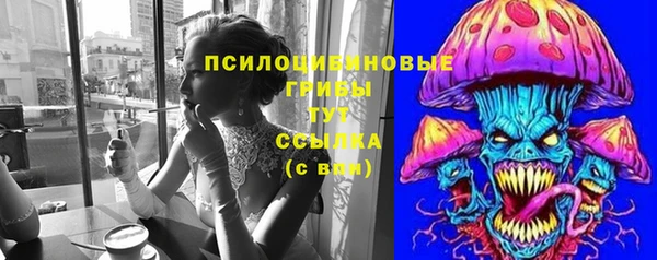 ГАЛЛЮЦИНОГЕННЫЕ ГРИБЫ Зерноград
