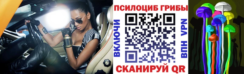 Псилоцибиновые грибы Psilocybe Усть-Кут